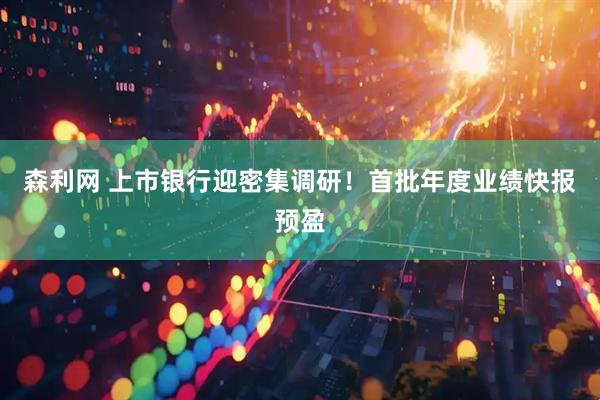 森利网 上市银行迎密集调研！首批年度业绩快报预盈